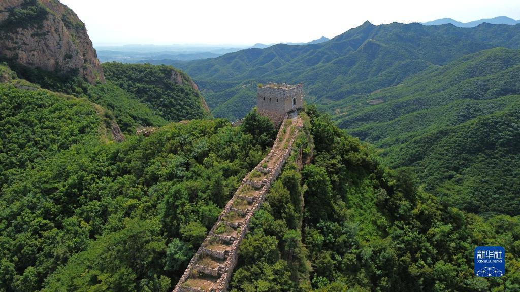 财神8优惠大厅申请网址